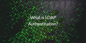 What is LDAP Authentication