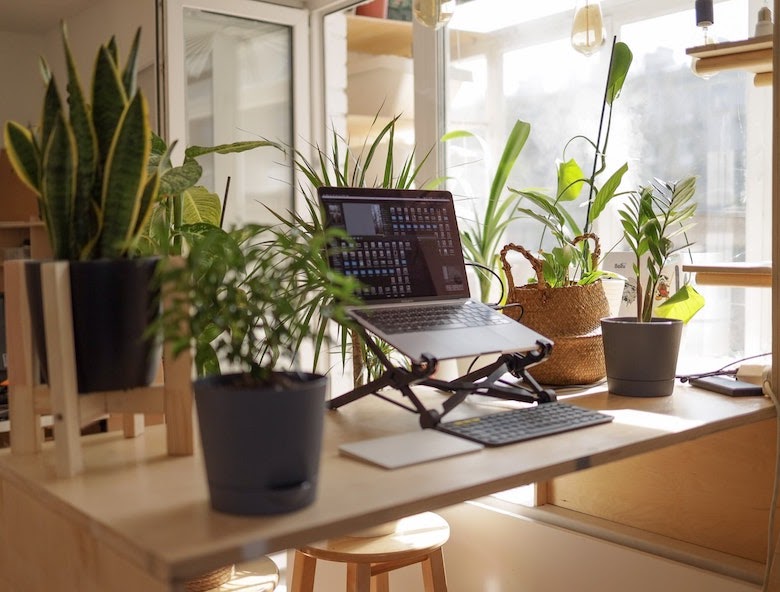 work desk with houseplants on top 
