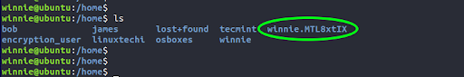 Additionally, we will also remove the /home/winnie.MTL8xtIX directory. This is a backup home folder that was created when we ran the initial migration command. You can find it by locating the directory that contains .MTL8 in the name.