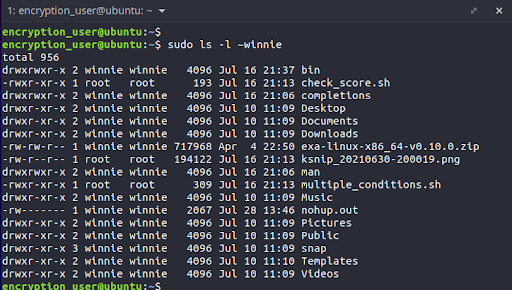 Une fois connecté en tant qu'utilisateur privilégié temporaire, vous pouvez jeter un coup d'œil sur le contenu du répertoire personnel que vous êtes sur le point de chiffrer. Ici, ~winnie est le répertoire personnel du compte utilisateur appelé winnie que nous chiffrerons sous peu.