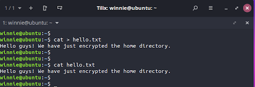 But before going any further, you need to confirm that you can read and write files on your home directory. To give this a try, we will create a simple hello.txt text file.