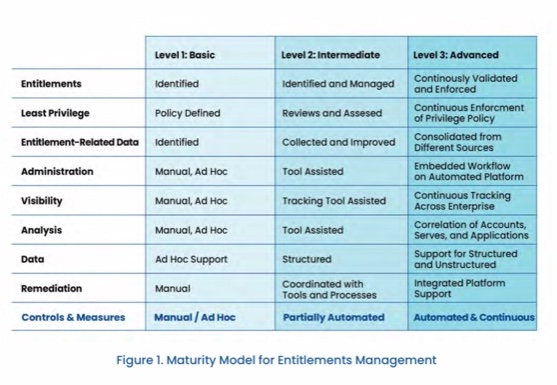 Controls and measures maturity model for entitlements management with basic, intermediate, and advanced columns.