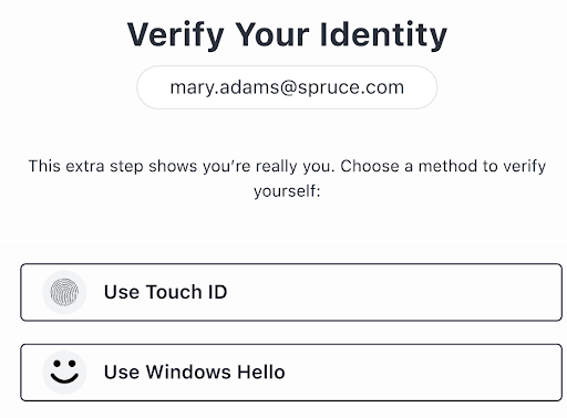 screenshot of verify your identity page