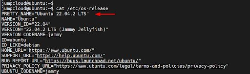 how to upgrade to ubuntu code screenshot