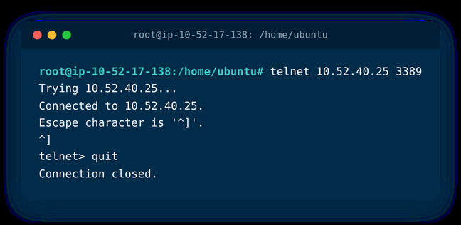 Successful telnet test from the Jump Server host to a resource port