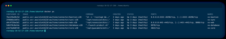 docker ps -a showing Jump Server containers Up
