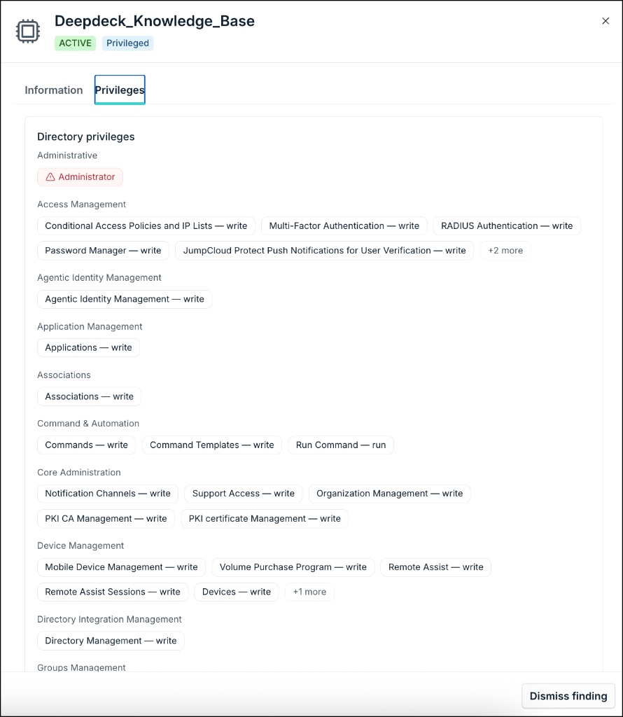 The image displays the Privileges tab for an affected entity in Access Posture