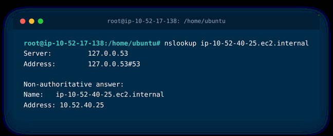 nslookup of a resource hostname from the Jump Server host
