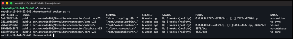 Docker container status