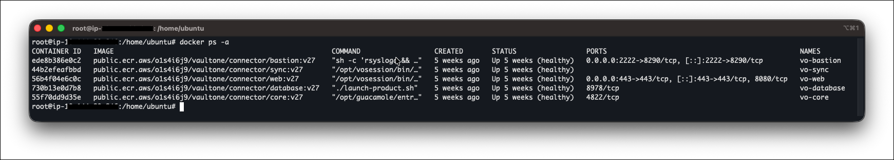 Jump Server host terminal showing docker ps -a with all five containers in Up status