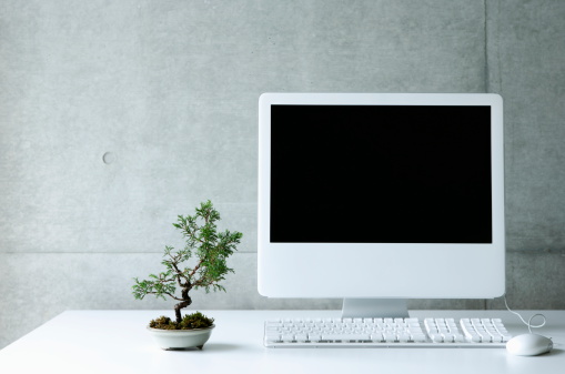 Desktop PC with small bonsai