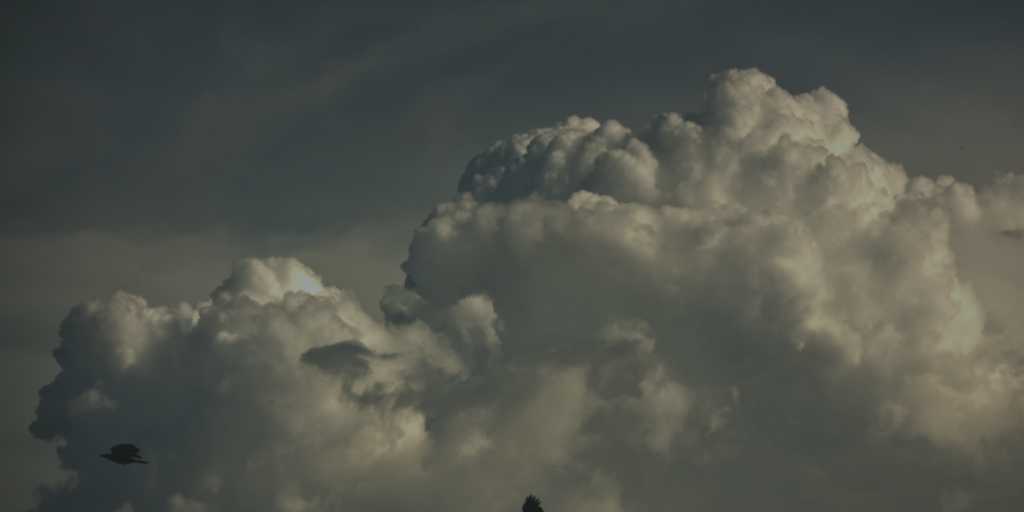 cloud directory