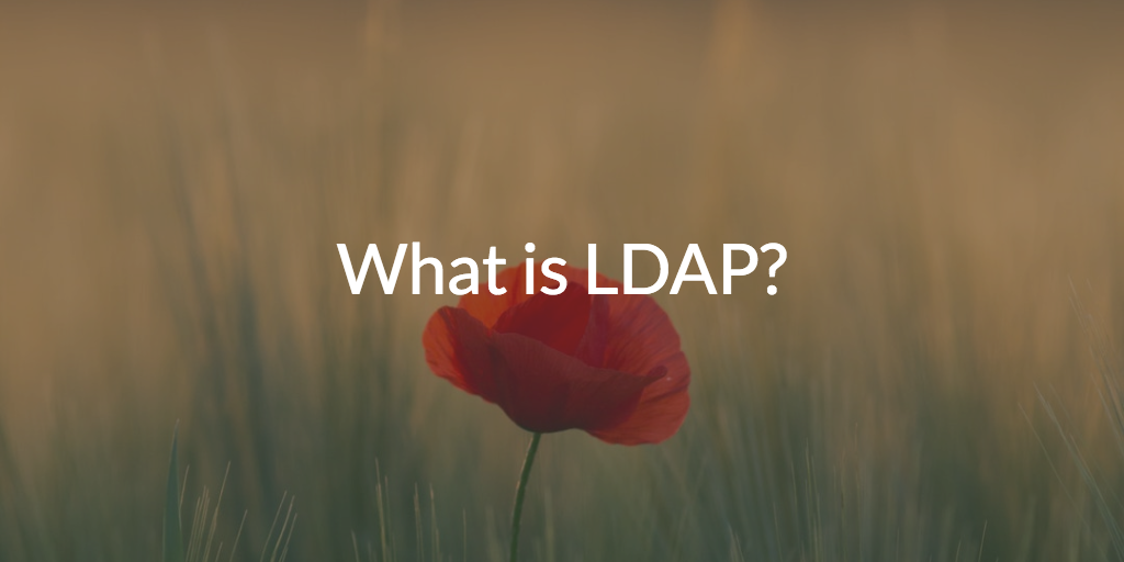 What is LDAP?