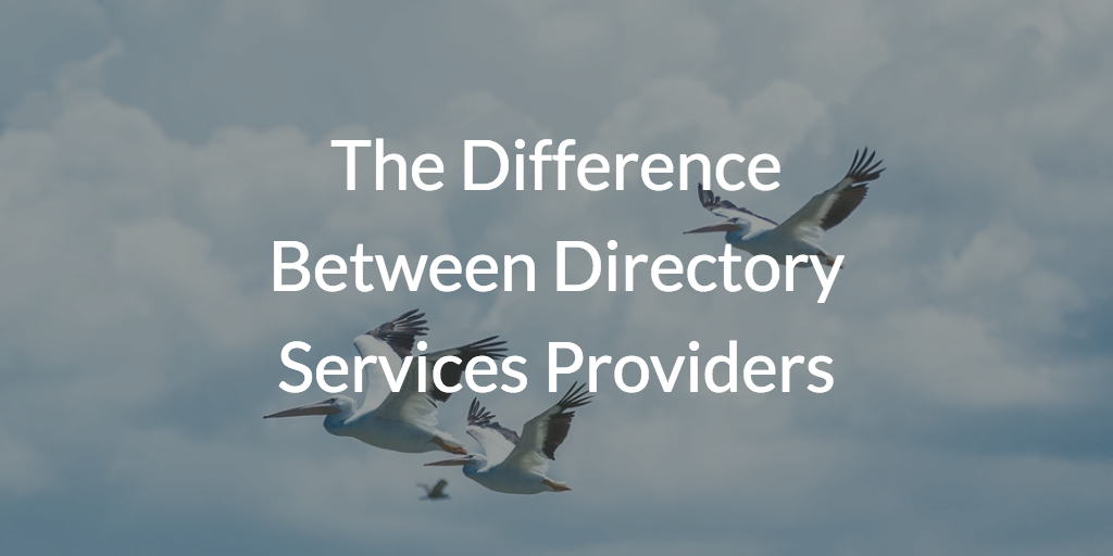 The Difference Between Directory Services Providers