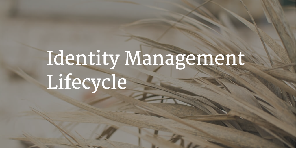 identity managment lifecycle