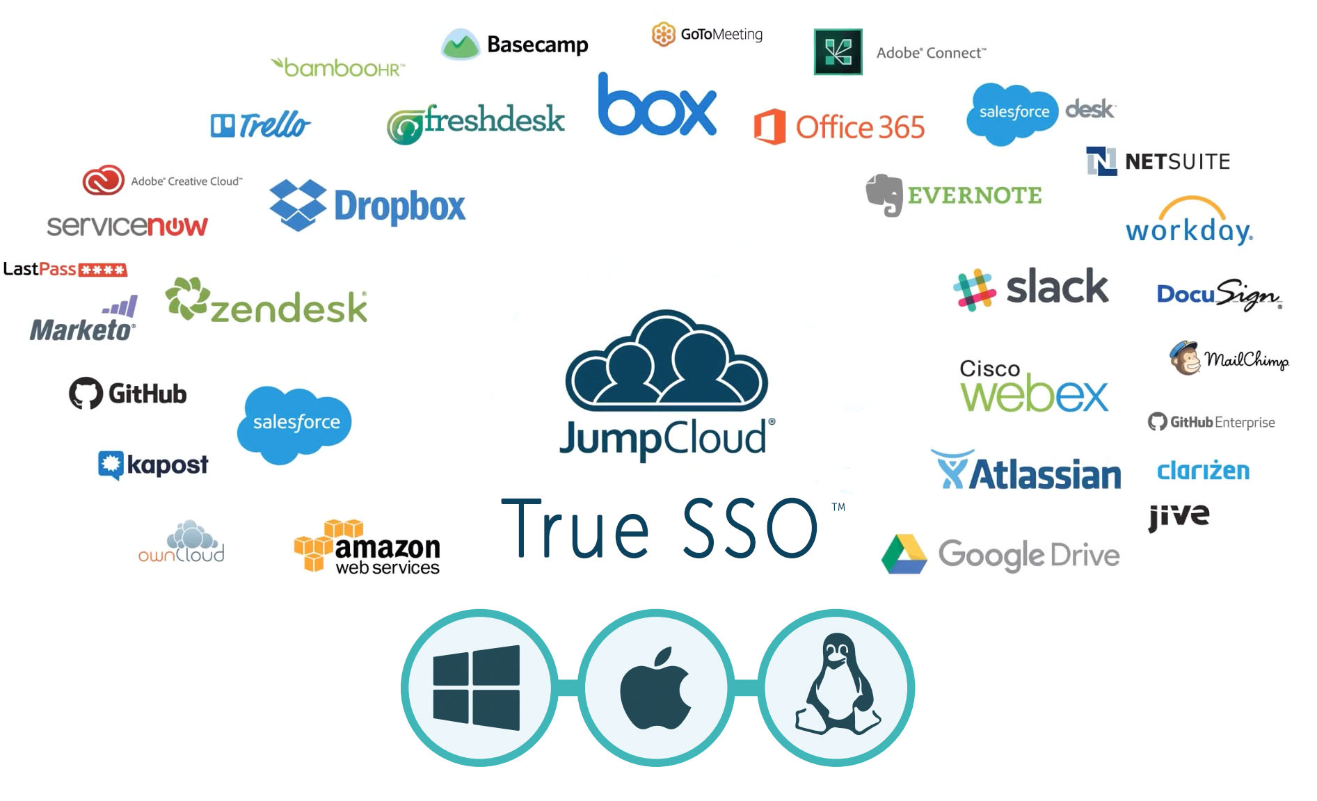 true single sign-on SSO