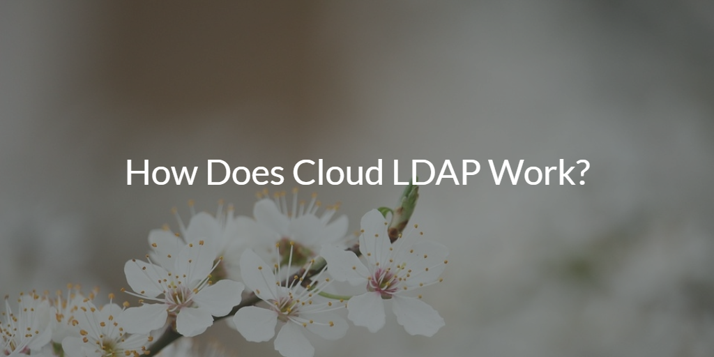 How Does Cloud LDAP Work