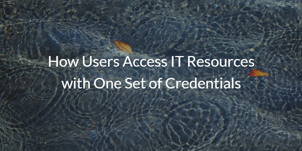 How Users Access IT Resources with One Set of Credentials