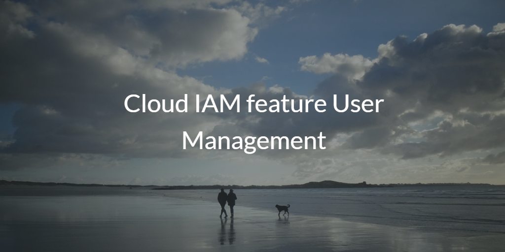 Cloud IAM feature User Management