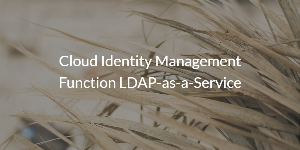 Cloud Identity Management Function LDAP-as-a-Service