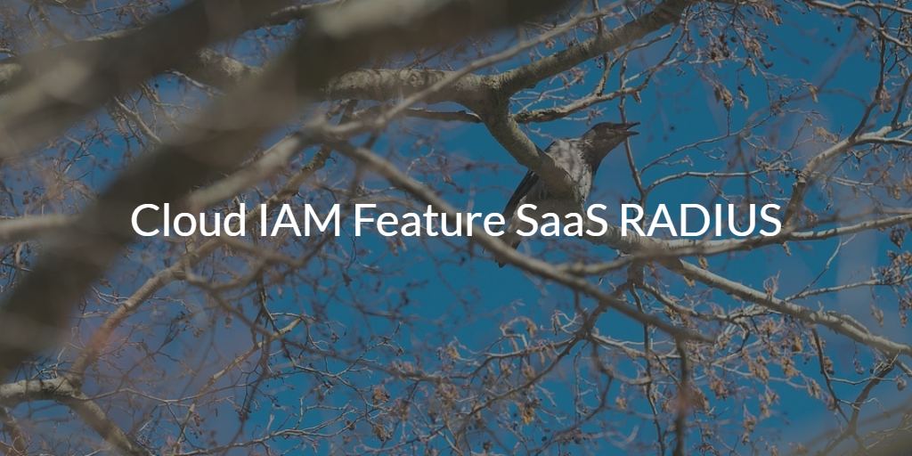 Cloud IAM Feature SaaS RADIUS