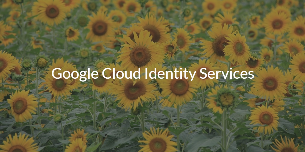 Google Cloud Identity Services