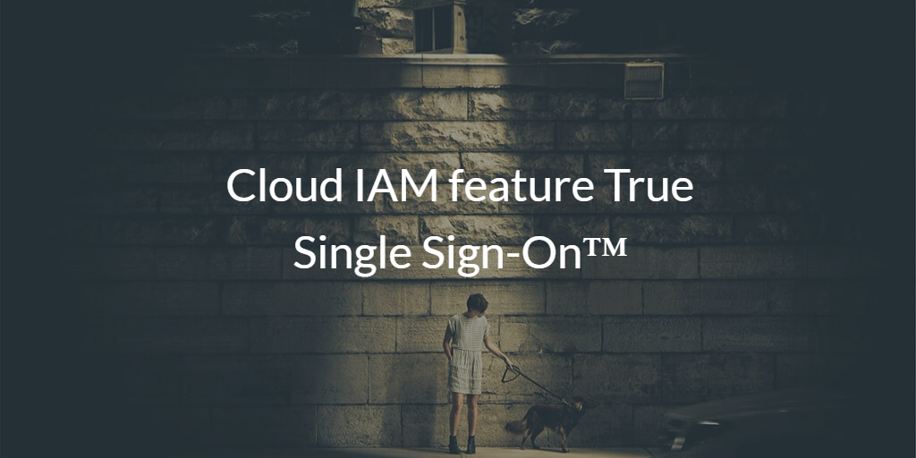 Cloud IAM feature True Single Sign-On