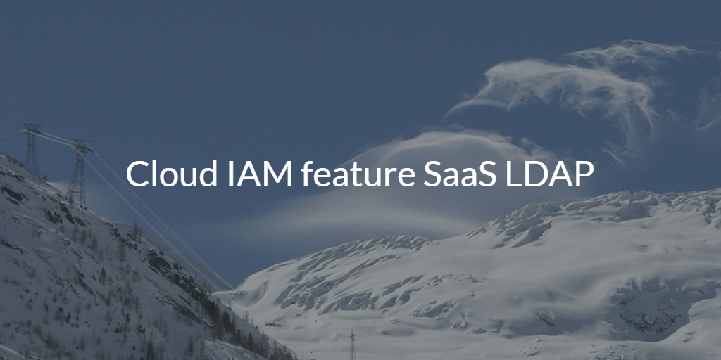 Cloud IAM feature SaaS LDAP