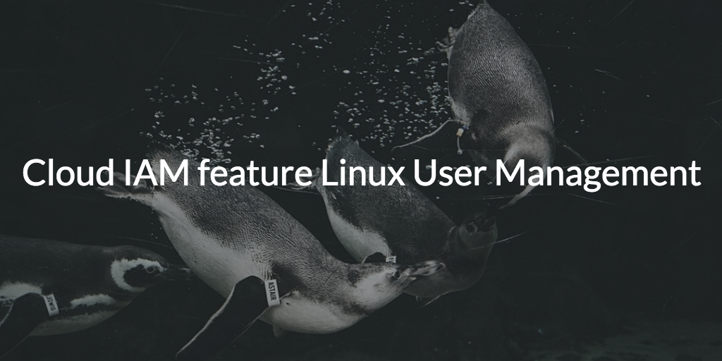 cloud iam linux user management