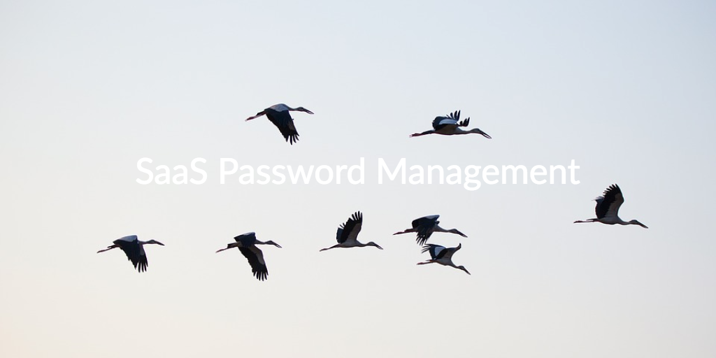 SaaS Password Management