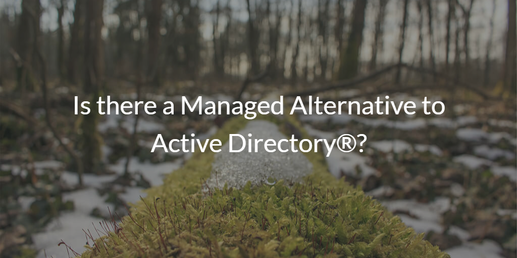 Is there a Managed Alternative to Active Directory®?