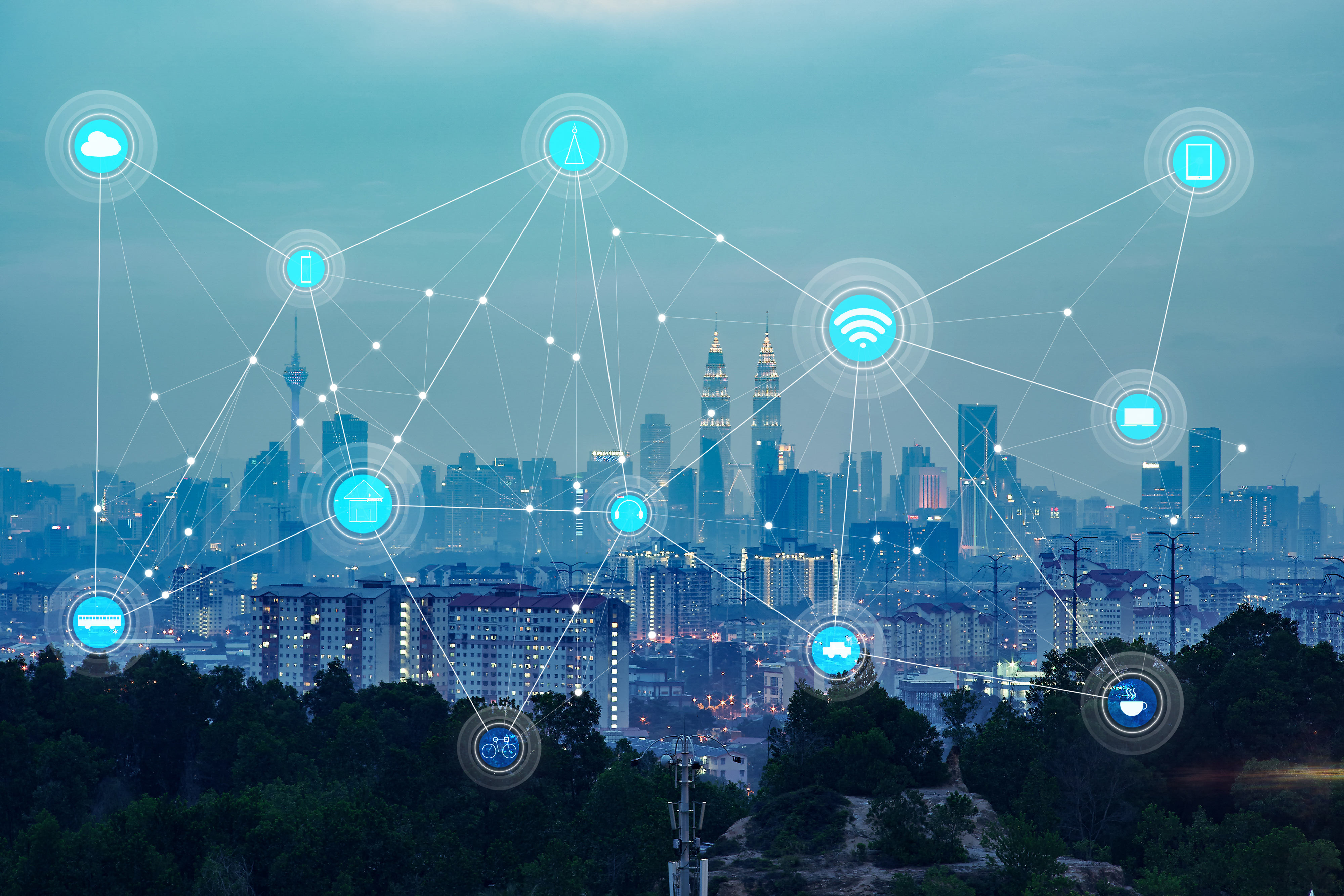 What is the RADIUS Protocol?