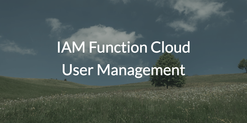 IAM Function Cloud User Management