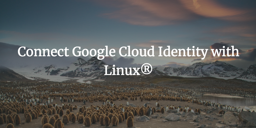 Connect Google Cloud Identity with Linux®