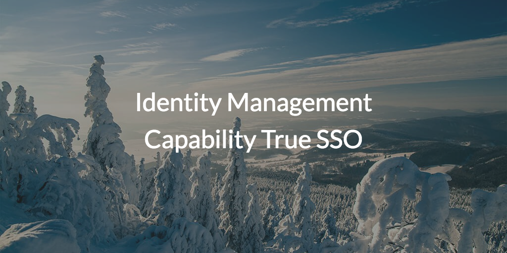 Identity Management Capability True SSO