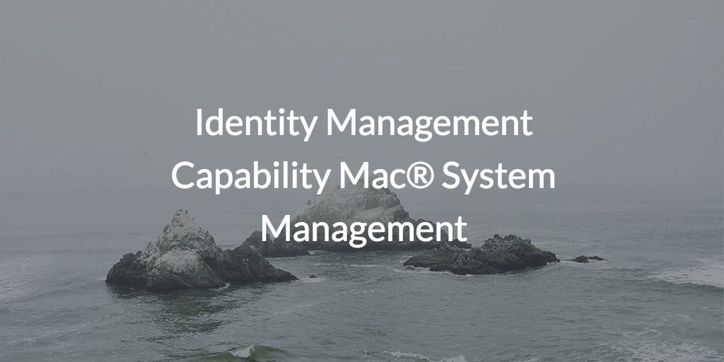mac system management