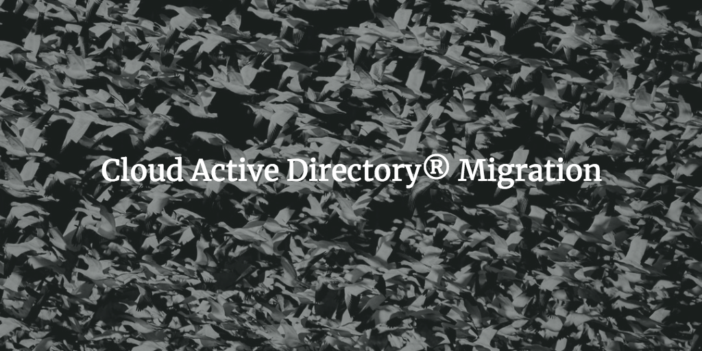 Cloud Active Directory Migration written over migrating birds photo