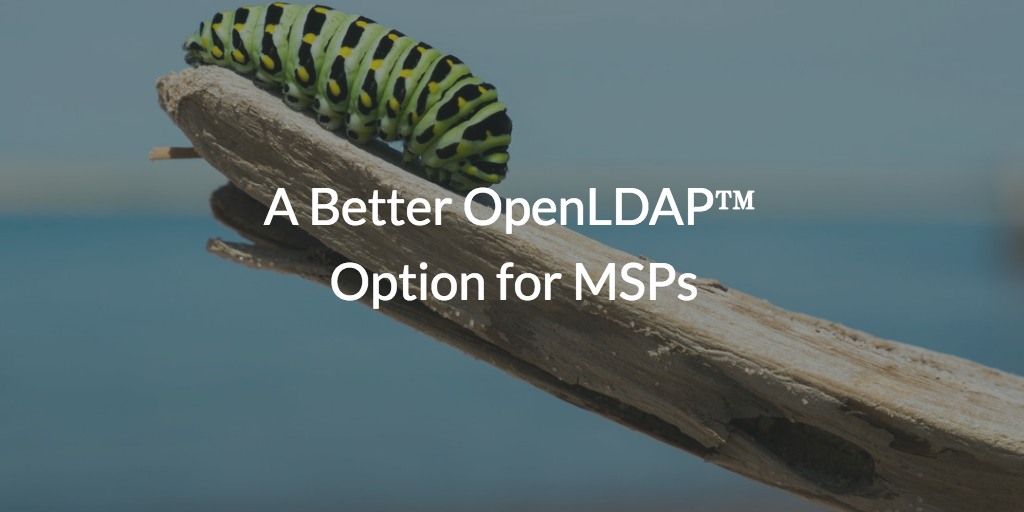 A Better OpenLDAP Option for MSPs written over picture of caterpillar