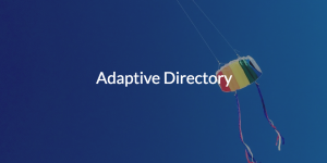 Adaptive Directory