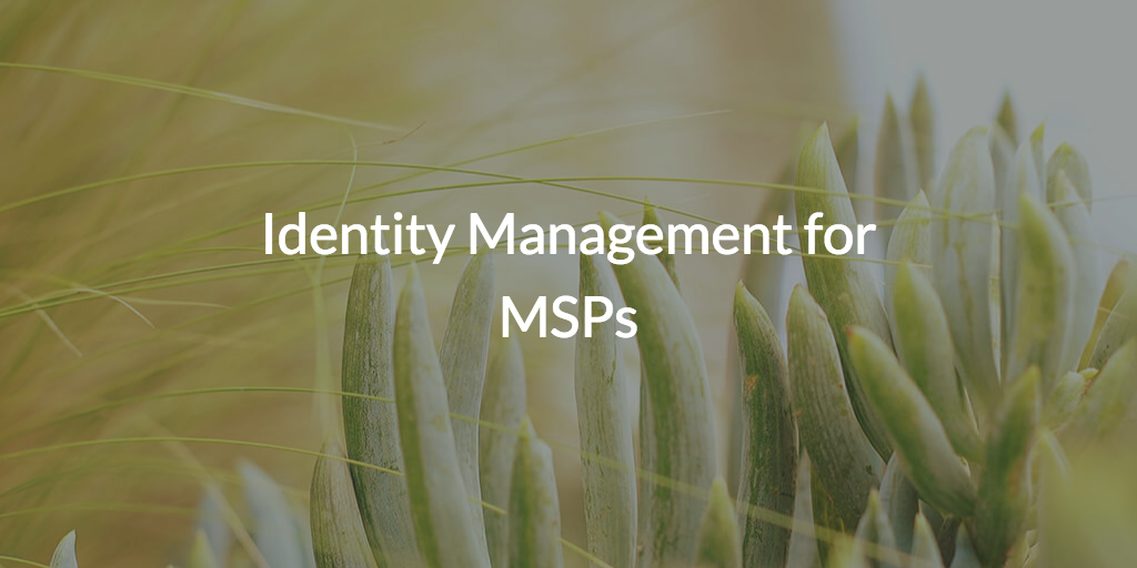 Identity Management for MSPs
