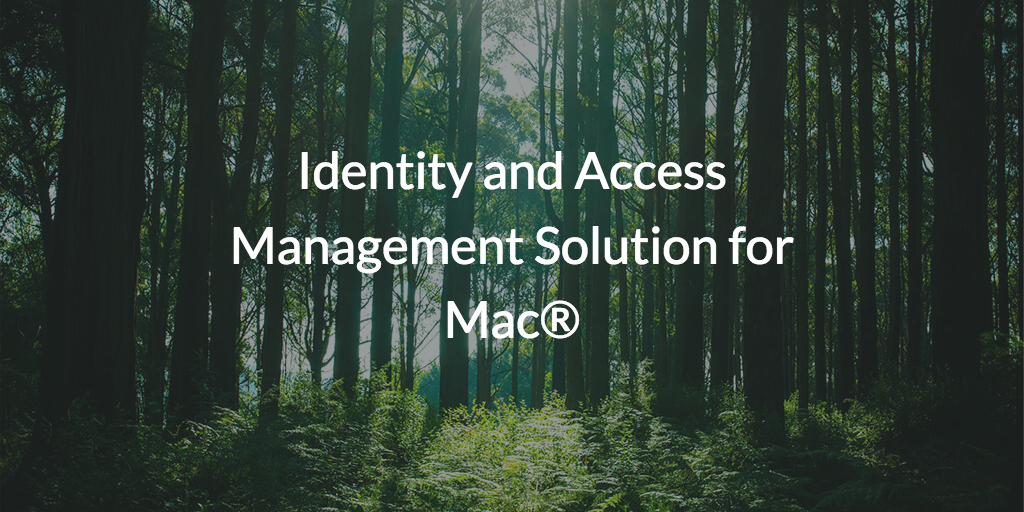 microsoft access solutions for mac