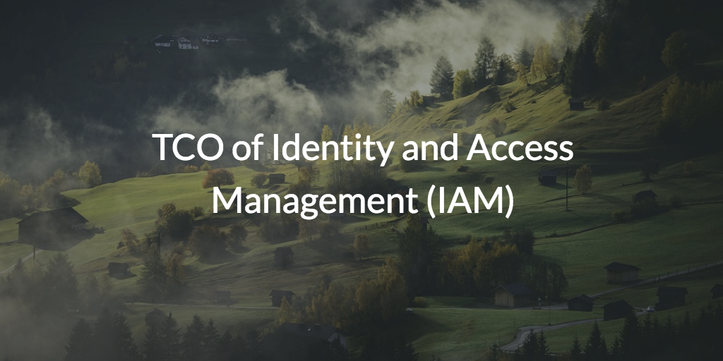Total Cost of Ownership of IAM