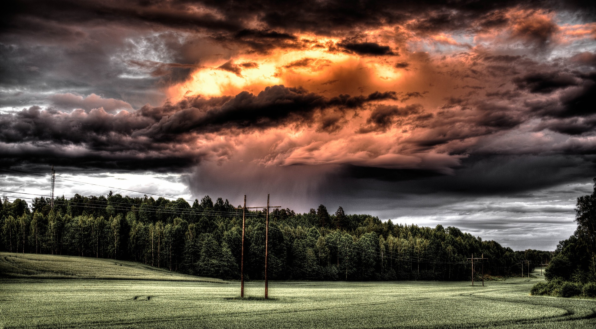 SaaS cloud directory