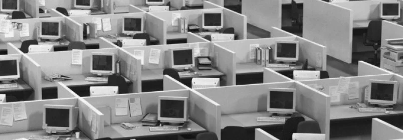 computers and cubicles

