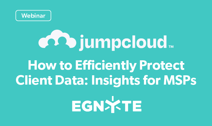 How to Efficiently Protect Client Data: Insights for MSPs