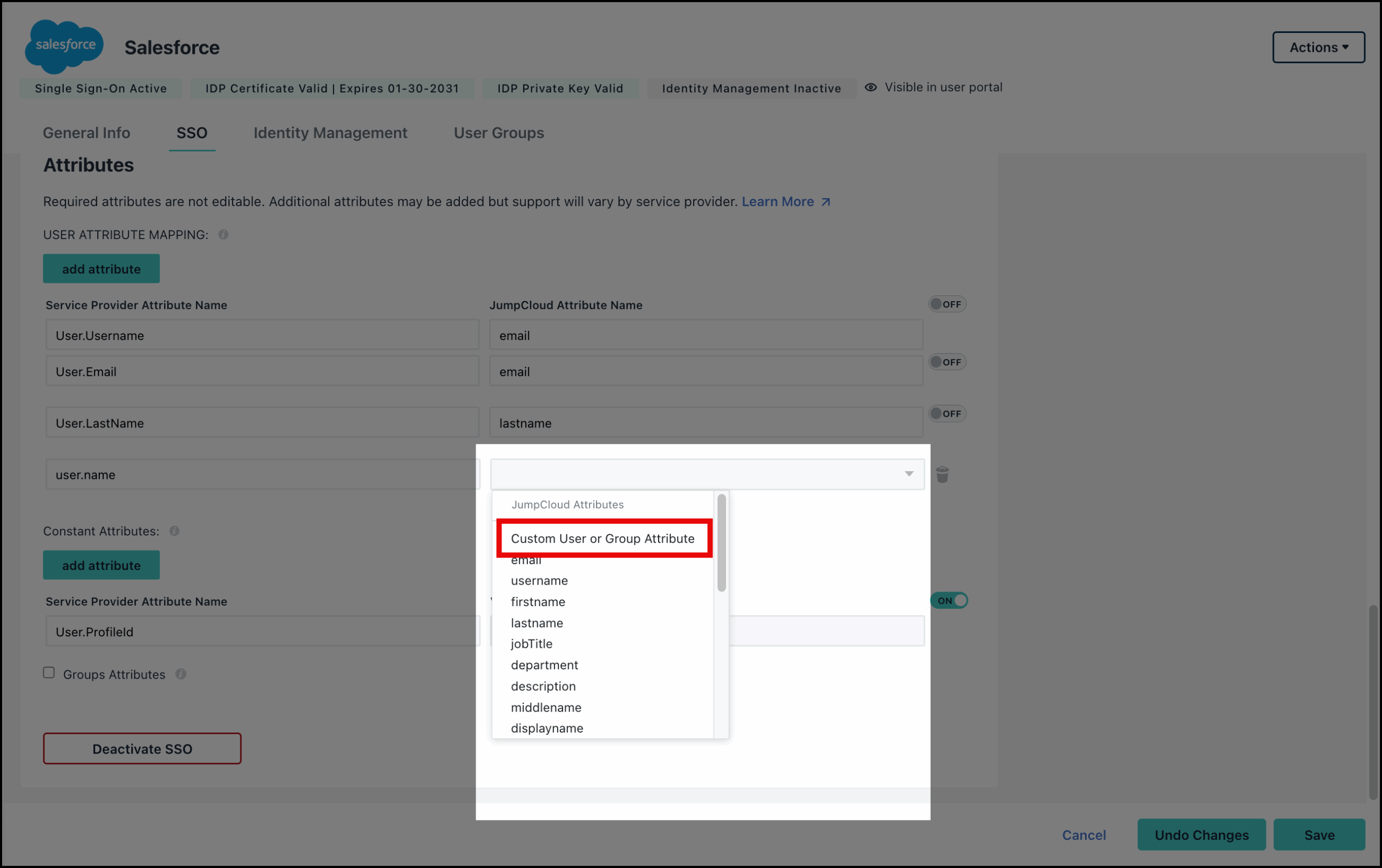 The image displays the custom attribute page