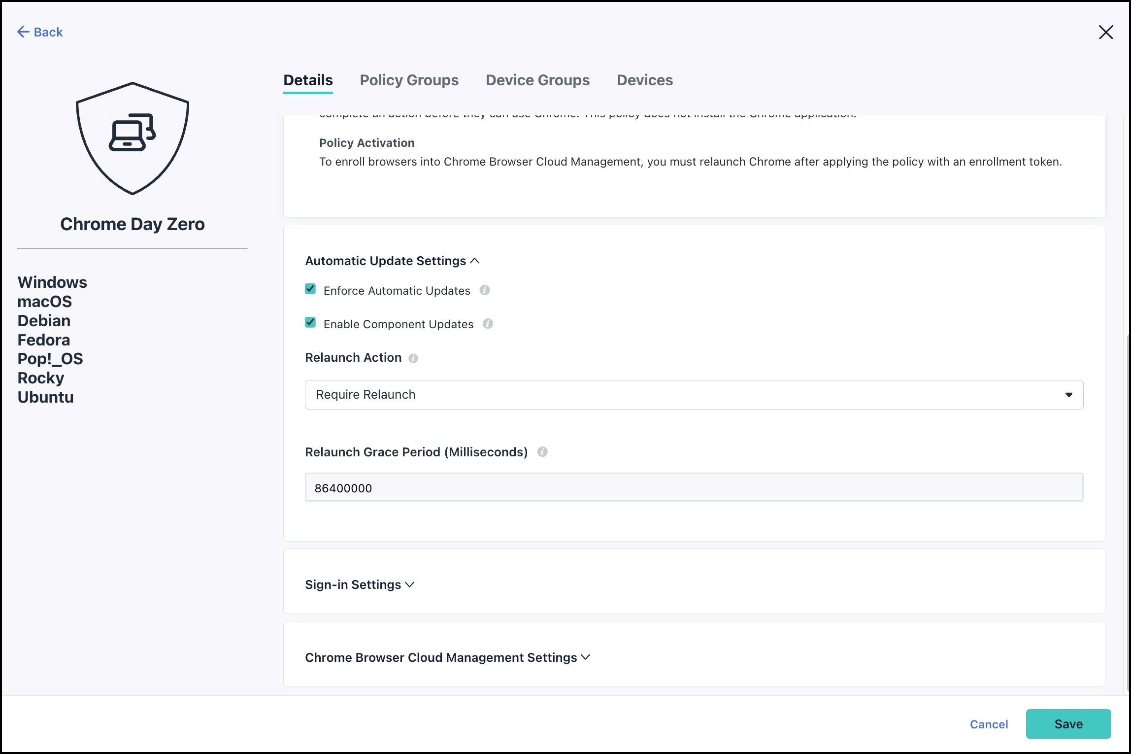 The image displays the Automatic Update settings option.