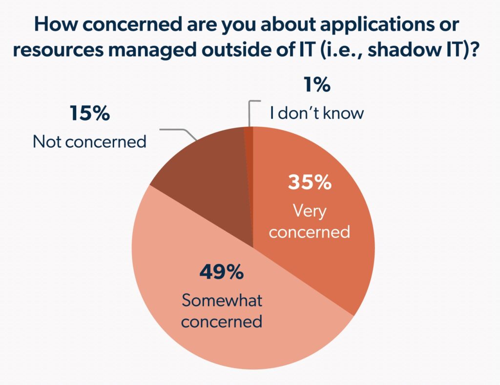 graph on concern on applications managed outside of IT