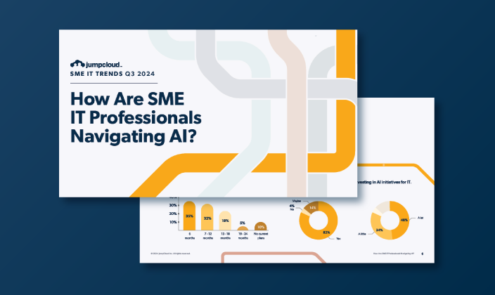 How Are SME IT Professionals Navigating AI?