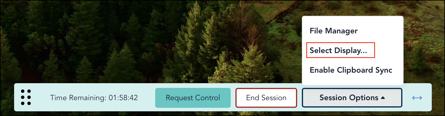 Image of Session Control window with Select Display Option highlighted.